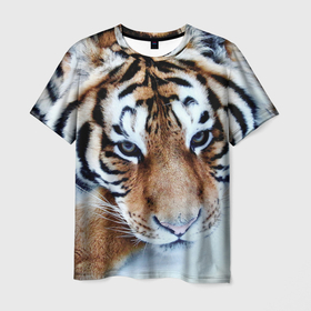 Мужская футболка 3D с принтом Тигр лежит на снегу , 100% полиэфир | прямой крой, круглый вырез горловины, длина до линии бедер | Тематика изображения на принте: 