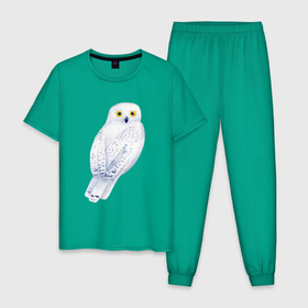 Мужская пижама хлопок с принтом Белая полярная сова в Тюмени, 100% хлопок | брюки и футболка прямого кроя, без карманов, на брюках мягкая резинка на поясе и по низу штанин
 | 