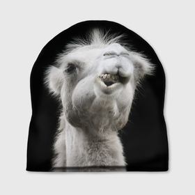 Шапка 3D с принтом Веселый верблюд в Тюмени, 100% полиэстер | универсальный размер, печать по всей поверхности изделия | Тематика изображения на принте: 