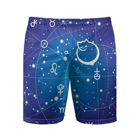 Мужские шорты спортивные с принтом Котик символ 2023 на карте звездного неба в Кировске,  |  | 