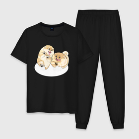 Мужская пижама хлопок с принтом играющие щенки в Курске, 100% хлопок | брюки и футболка прямого кроя, без карманов, на брюках мягкая резинка на поясе и по низу штанин
 | Тематика изображения на принте: 