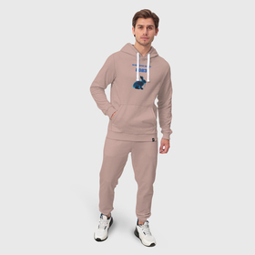 Мужской костюм хлопок с толстовкой с принтом Голубой водяной кролик 2023 ,  |  | Тематика изображения на принте: 