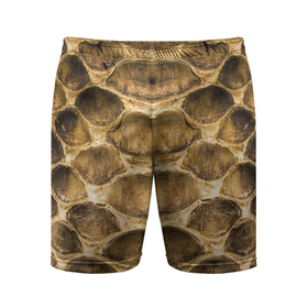 Мужские шорты спортивные с принтом Чешуя змеи   змеиная шкура в Тюмени,  |  | Тематика изображения на принте: 