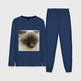 Мужская пижама хлопок (с лонгсливом) с принтом Пушистая балинезийская кошка ,  |  | 