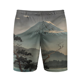Мужские шорты спортивные с принтом Великий вулкан Фудзияма ,  |  | 