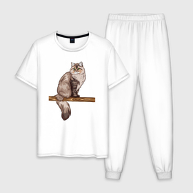 Мужская пижама хлопок с принтом Сибирский кот в Курске, 100% хлопок | брюки и футболка прямого кроя, без карманов, на брюках мягкая резинка на поясе и по низу штанин
 | 