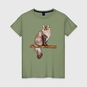 Женская футболка хлопок с принтом Сибирский кот в Курске, 100% хлопок | прямой крой, круглый вырез горловины, длина до линии бедер, слегка спущенное плечо | 