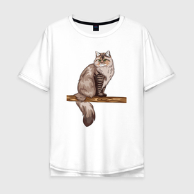 Мужская футболка хлопок Oversize с принтом Сибирский кот в Курске, 100% хлопок | свободный крой, круглый ворот, “спинка” длиннее передней части | 