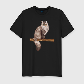 Мужская футболка хлопок Slim с принтом Сибирский кот в Курске, 92% хлопок, 8% лайкра | приталенный силуэт, круглый вырез ворота, длина до линии бедра, короткий рукав | 