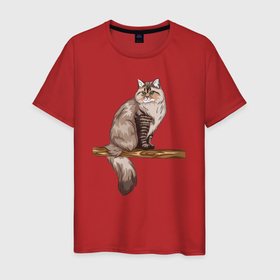 Мужская футболка хлопок с принтом Сибирский кот в Курске, 100% хлопок | прямой крой, круглый вырез горловины, длина до линии бедер, слегка спущенное плечо. | 