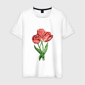 Мужская футболка хлопок с принтом Красные акварельные тюльпаны в Белгороде, 100% хлопок | прямой крой, круглый вырез горловины, длина до линии бедер, слегка спущенное плечо. | 