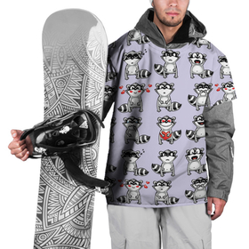 Накидка на куртку 3D с принтом Забавные еноты в Тюмени, 100% полиэстер |  | Тематика изображения на принте: 