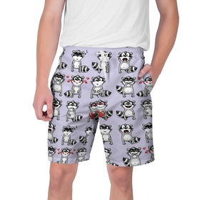 Мужские шорты 3D с принтом Забавные еноты в Санкт-Петербурге,  полиэстер 100% | прямой крой, два кармана без застежек по бокам. Мягкая трикотажная резинка на поясе, внутри которой широкие завязки. Длина чуть выше колен | 