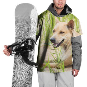 Накидка на куртку 3D с принтом Хороший пёсик отдыхает в траве в Санкт-Петербурге, 100% полиэстер |  | 
