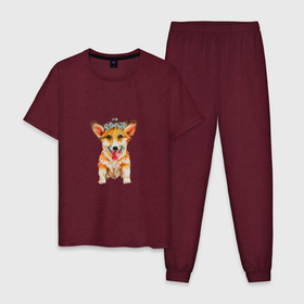 Мужская пижама хлопок с принтом Корги собака с ромашками в Курске, 100% хлопок | брюки и футболка прямого кроя, без карманов, на брюках мягкая резинка на поясе и по низу штанин
 | Тематика изображения на принте: 