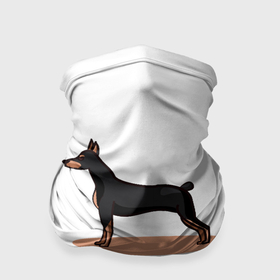 Бандана-труба 3D с принтом Собака Доберман в Тюмени, 100% полиэстер, ткань с особыми свойствами — Activecool | плотность 150‒180 г/м2; хорошо тянется, но сохраняет форму | 