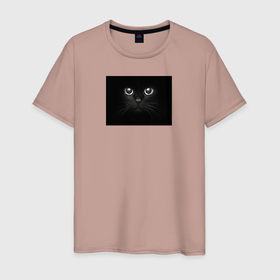 Мужская футболка хлопок с принтом котейка, мохнатые усы в Тюмени, 100% хлопок | прямой крой, круглый вырез горловины, длина до линии бедер, слегка спущенное плечо. | 