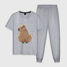 Мужская пижама хлопок с принтом Капибару с птичками в Белгороде, 100% хлопок | брюки и футболка прямого кроя, без карманов, на брюках мягкая резинка на поясе и по низу штанин
 | 