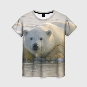 Женская футболка 3D с принтом Белый медведь ожидает , 100% полиэфир ( синтетическое хлопкоподобное полотно) | прямой крой, круглый вырез горловины, длина до линии бедер | 