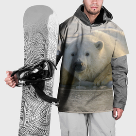 Накидка на куртку 3D с принтом Белый медведь ожидает , 100% полиэстер |  | 