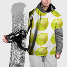 Накидка на куртку 3D с принтом Паттерн лимоны в Екатеринбурге, 100% полиэстер |  | Тематика изображения на принте: 