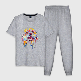 Мужская пижама хлопок с принтом Красочная болонка в Петрозаводске, 100% хлопок | брюки и футболка прямого кроя, без карманов, на брюках мягкая резинка на поясе и по низу штанин
 | 