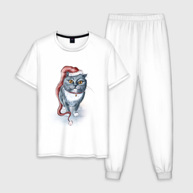 Мужская пижама хлопок с принтом Гном кот в Петрозаводске, 100% хлопок | брюки и футболка прямого кроя, без карманов, на брюках мягкая резинка на поясе и по низу штанин
 | 