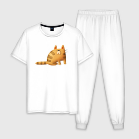 Мужская пижама хлопок с принтом Рыжий полосатый кот в Петрозаводске, 100% хлопок | брюки и футболка прямого кроя, без карманов, на брюках мягкая резинка на поясе и по низу штанин
 | 