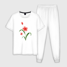 Мужская пижама хлопок с принтом Нежные акварельные цветы в японском стиле в Петрозаводске, 100% хлопок | брюки и футболка прямого кроя, без карманов, на брюках мягкая резинка на поясе и по низу штанин
 | 