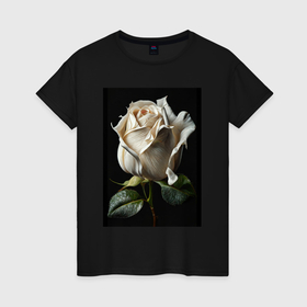 Женская футболка хлопок с принтом Белая роза в Тюмени, 100% хлопок | прямой крой, круглый вырез горловины, длина до линии бедер, слегка спущенное плечо | 