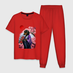 Мужская пижама хлопок с принтом Такса Самурай весенняя на фоне сакуры в Курске, 100% хлопок | брюки и футболка прямого кроя, без карманов, на брюках мягкая резинка на поясе и по низу штанин
 | 