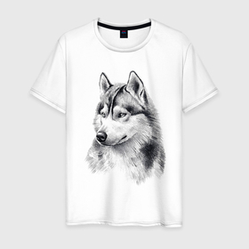 Мужская футболка хлопок с принтом собака смотрящая в даль , 100% хлопок | прямой крой, круглый вырез горловины, длина до линии бедер, слегка спущенное плечо. | 