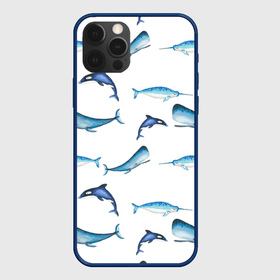 Чехол для iPhone 12 Pro с принтом Морские животные в Санкт-Петербурге, силикон | область печати: задняя сторона чехла, без боковых панелей | 