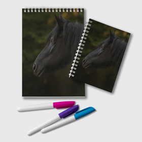 Блокнот с принтом Черная лошадь в Тюмени, 100% бумага | 48 листов, плотность листов — 60 г/м2, плотность картонной обложки — 250 г/м2. Листы скреплены удобной пружинной спиралью. Цвет линий — светло-серый
 | 