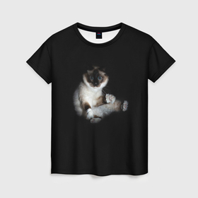 Женская футболка 3D с принтом Котенок на темном фоне , 100% полиэфир ( синтетическое хлопкоподобное полотно) | прямой крой, круглый вырез горловины, длина до линии бедер | 