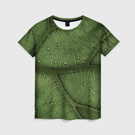 Женская футболка 3D с принтом Текстура зелёной листы в Санкт-Петербурге, 100% полиэфир ( синтетическое хлопкоподобное полотно) | прямой крой, круглый вырез горловины, длина до линии бедер | 