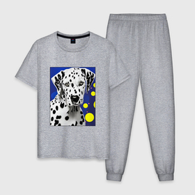Мужская пижама хлопок с принтом Далматин   портрет в Белгороде, 100% хлопок | брюки и футболка прямого кроя, без карманов, на брюках мягкая резинка на поясе и по низу штанин
 | Тематика изображения на принте: 