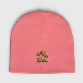 Мужская шапка демисезонная с принтом Розовый фламинго  акварель ,  |  | Тематика изображения на принте: 