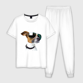 Мужская пижама хлопок с принтом Крутая собака в очках в Кировске, 100% хлопок | брюки и футболка прямого кроя, без карманов, на брюках мягкая резинка на поясе и по низу штанин
 | 