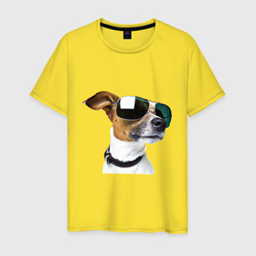 Мужская футболка хлопок с принтом крутая собака в очках в Кировске, 100% хлопок | прямой крой, круглый вырез горловины, длина до линии бедер, слегка спущенное плечо. | 