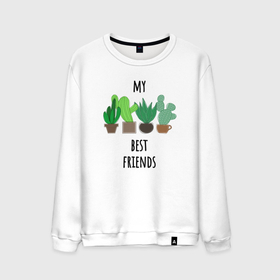 Мужской свитшот хлопок с принтом My best friends   cactuses , 100% хлопок |  | 