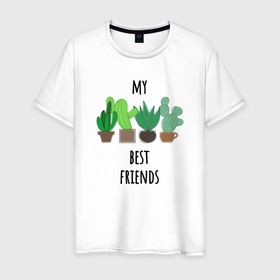 Мужская футболка хлопок с принтом My best friends   cactuses в Курске, 100% хлопок | прямой крой, круглый вырез горловины, длина до линии бедер, слегка спущенное плечо. | 
