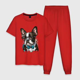Мужская пижама хлопок с принтом Zephyr   собака в очках в Белгороде, 100% хлопок | брюки и футболка прямого кроя, без карманов, на брюках мягкая резинка на поясе и по низу штанин
 | Тематика изображения на принте: 