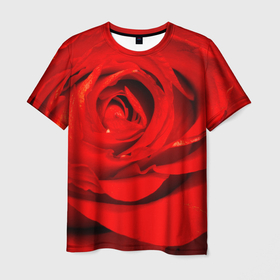 Мужская футболка 3D с принтом Красная роза в Курске, 100% полиэфир | прямой крой, круглый вырез горловины, длина до линии бедер | 