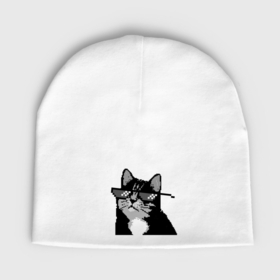 Мужская шапка демисезонная с принтом Пиксельный кот в очках в Белгороде,  |  | Тематика изображения на принте: 