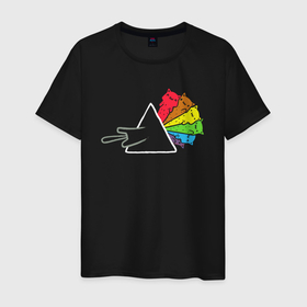 Мужская футболка хлопок с принтом Pink Floyd коты в Санкт-Петербурге, 100% хлопок | прямой крой, круглый вырез горловины, длина до линии бедер, слегка спущенное плечо. | Тематика изображения на принте: 