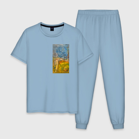 Мужская пижама хлопок с принтом Фуенте скай в Санкт-Петербурге, 100% хлопок | брюки и футболка прямого кроя, без карманов, на брюках мягкая резинка на поясе и по низу штанин
 | Тематика изображения на принте: 