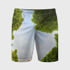 Мужские шорты спортивные с принтом Зелень, небо и флаг в Белгороде,  |  | Тематика изображения на принте: 