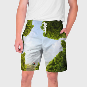Мужские шорты 3D с принтом Зелень, небо и флаг в Белгороде,  полиэстер 100% | прямой крой, два кармана без застежек по бокам. Мягкая трикотажная резинка на поясе, внутри которой широкие завязки. Длина чуть выше колен | 