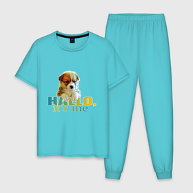 Мужская пижама хлопок с принтом Милый щенок корги привет , 100% хлопок | брюки и футболка прямого кроя, без карманов, на брюках мягкая резинка на поясе и по низу штанин
 | 